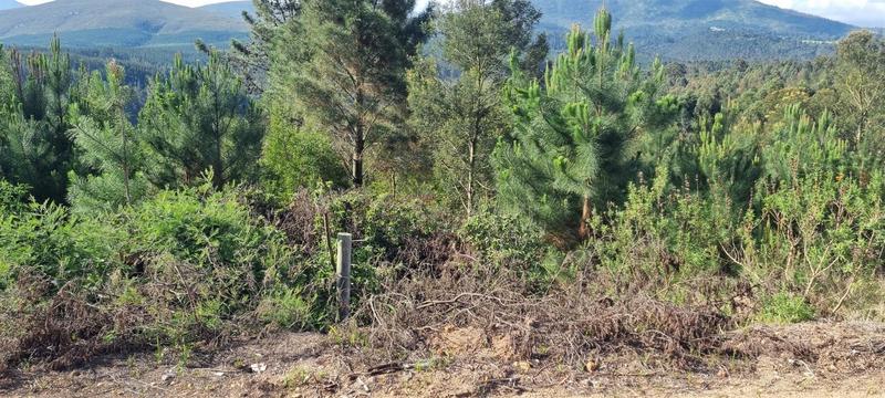 0 Bedroom Property for Sale in Friemersheim Western Cape